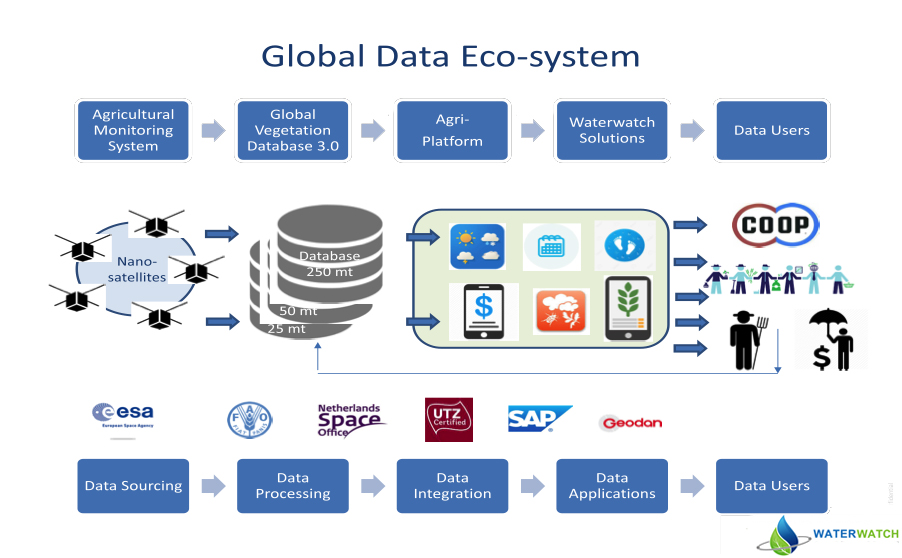 Global processes